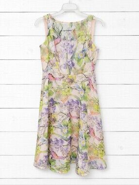 DB Established 1962 Floral Bird Print Fit & Flare Dress Size 4 Pastel Spring